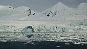 Ice floe and glacier timelapse, Arctic