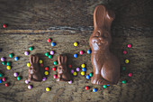 Chocolate bunnies and colorful chocolate chips