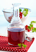 Homemade red currant vinegar with vanilla