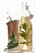 Selbstgemachter Kräuteressig mit frischen Gartenkräutern in Bügelflasche