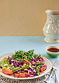 Red cabbage and grapefruit salad