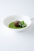 Cold mint soup with a baked chocolate ball