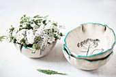 Yarrow (Achillea millefolium) in ceramic bowls