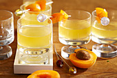 Aprikosen-Orangen-Likör mit frischen Fruchtspiessen