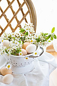 Eier und Kirschblütenzweige als frühlingshafte Dekoration