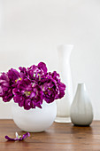 'Purple peony' tulips in white spherical vase