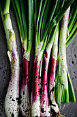 Freshly harvested leeks