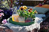 Tray with pansies in a pot, carafe and glasses of apple juice