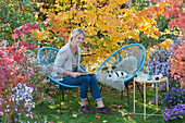 Moderne Sessel vor Eisenholzbaum in Herbstfärbung, Frau und Hund Zula