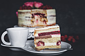 Raspberry and vanilla sponge cake with chocolate cream