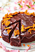 Chocolate Cake with Honeycombs