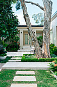 Pavement slabs in the garden, old tree in front of apartment building