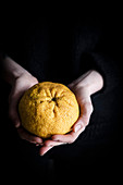 A person holding an ugli fruit