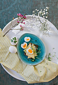 An open sandwich with cheese, a boiled egg and cress