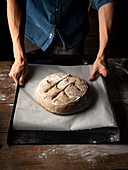 Bread dough on a baking tray
