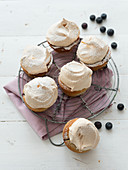 Blueberry tartlets with a meringue topping