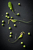 Peas and pods on a black background