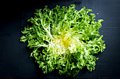 Curly lettuce (top view)