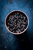 Seeds in a plant pot