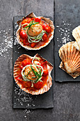 Fried scallops with tomato ragout