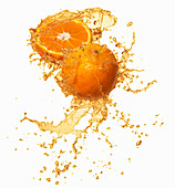Oranges with a splash of juice