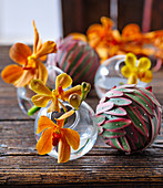 Vanda orchid flowers in glass spheres