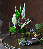 Peace lilies and Brunia seed heads