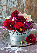Dahlias and moth orchids