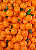 Mandarinen mit Blättern bildfüllend