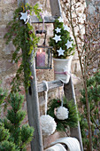 Weihnachtlich geschmückte Holzleiter mit Zuckerhutfichte und Wollkugeln