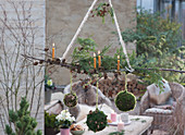 Hanging Christmas decorations with conifer branches