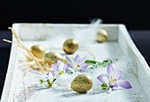 Goldene Eier, Schneeglöckchen und Krokus im weißen Tablett