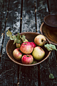 Äpfel in Keramikschale auf rustikalem Holzuntergrund