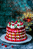 Christmas sponge cake with cranberries