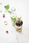 Homemade wild herb oil and vinegar