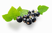 Blackcurrants with leaves