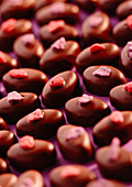 Rose and violet cream chocolates on a lilac background