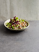 Radicchio and mushroom salad with chestnuts