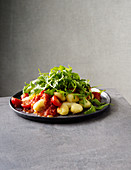 Gnocchi on a bed of tomatoes with rocket