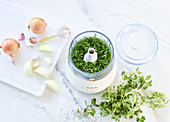 Herbs and onions being chopped in a mini blender