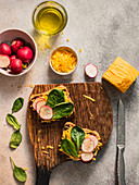 Open sandwich with radishes, salad and cheddar