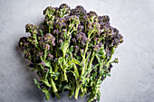 Purple Sprouting Brokkoli auf weißem Untergrund