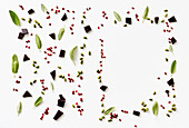 An arrangement of chocolate, goji berries, pistachios and herbs