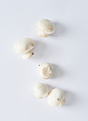 Fresh mushrooms on a white surface