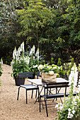 Tisch mit Stühlen auf Kiesplatz zwischen blühendem Rittersporn im sommerlichen Garten