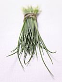 A bunch of chives on a white background