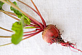 A beetroot