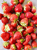 Viele frische Erdbeeren