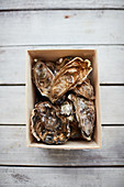 Fresh oysters in a wooden box
