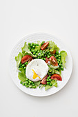 Erbsensalat mit Pflücksalat, Tomaten und pochiertem Ei